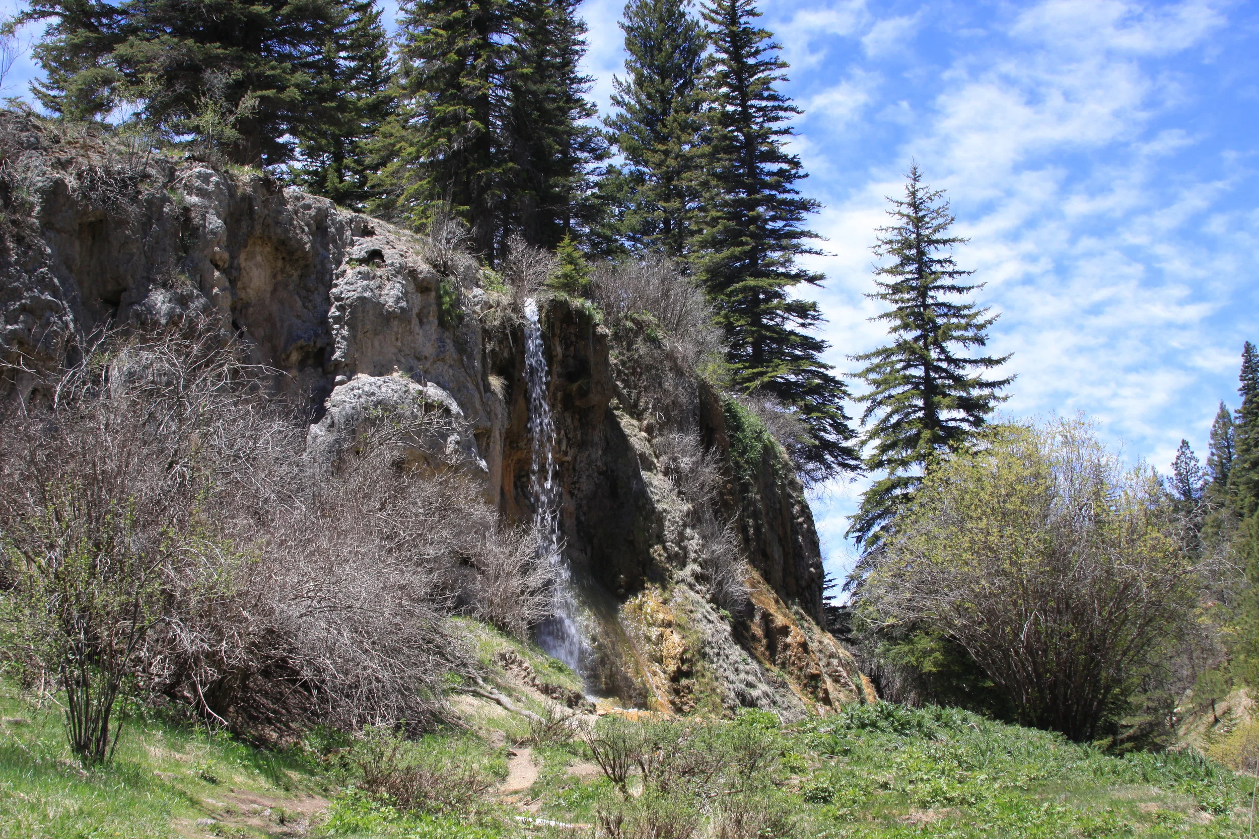 Bluff Springs