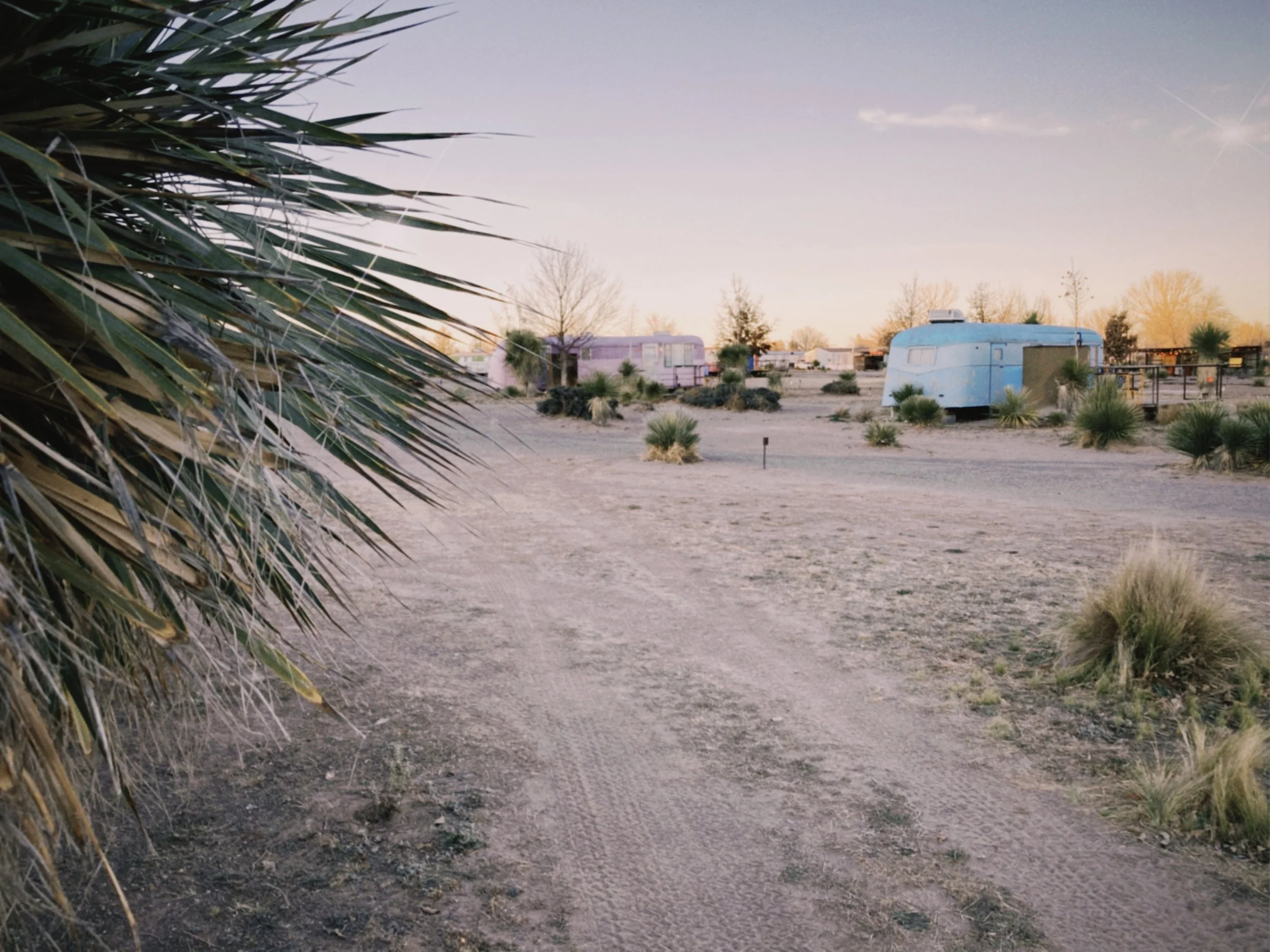 nt16 2023-01-12 180636.069.JPG