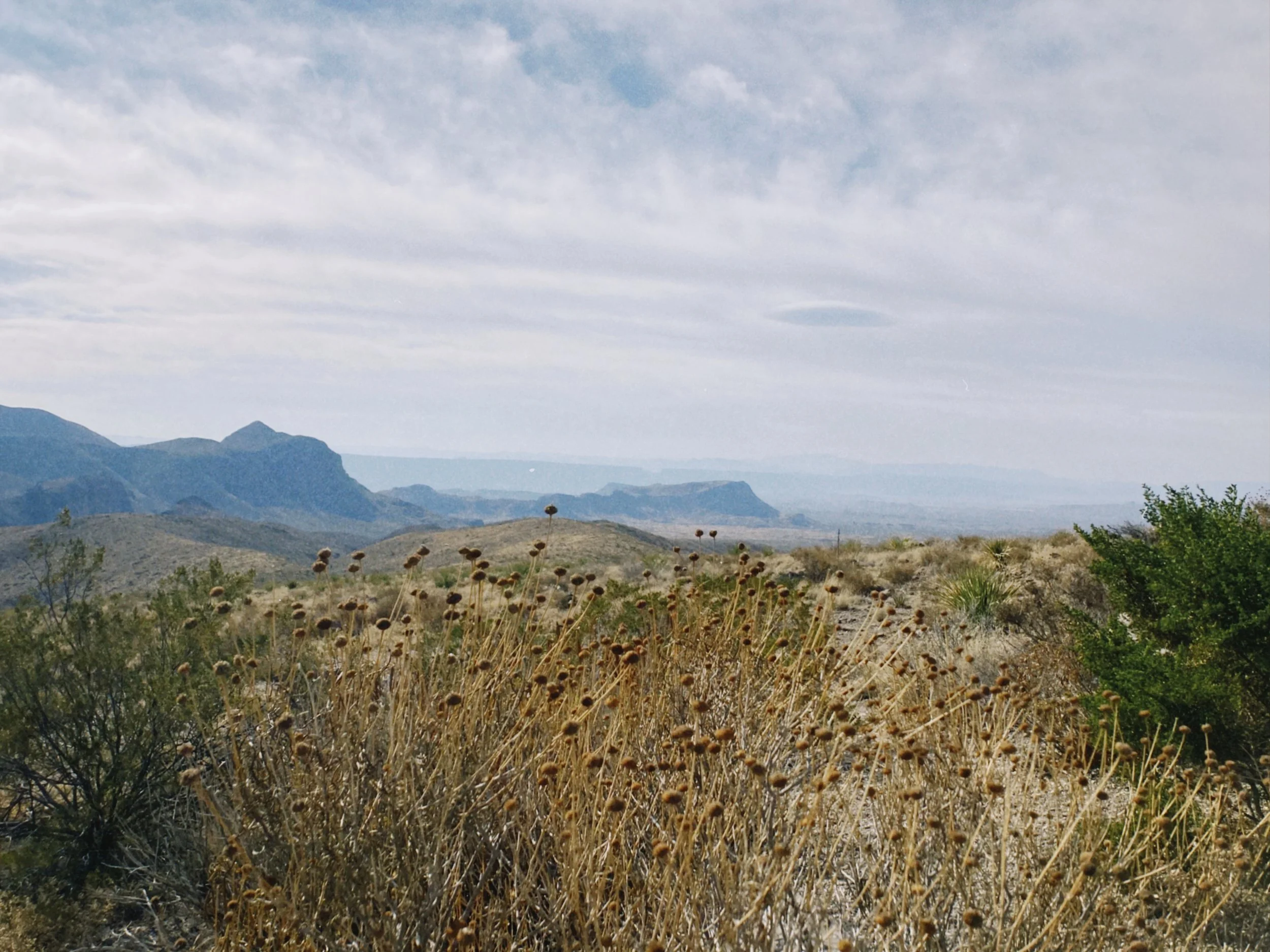 dclassic 2023-01-15 151130.092.JPG