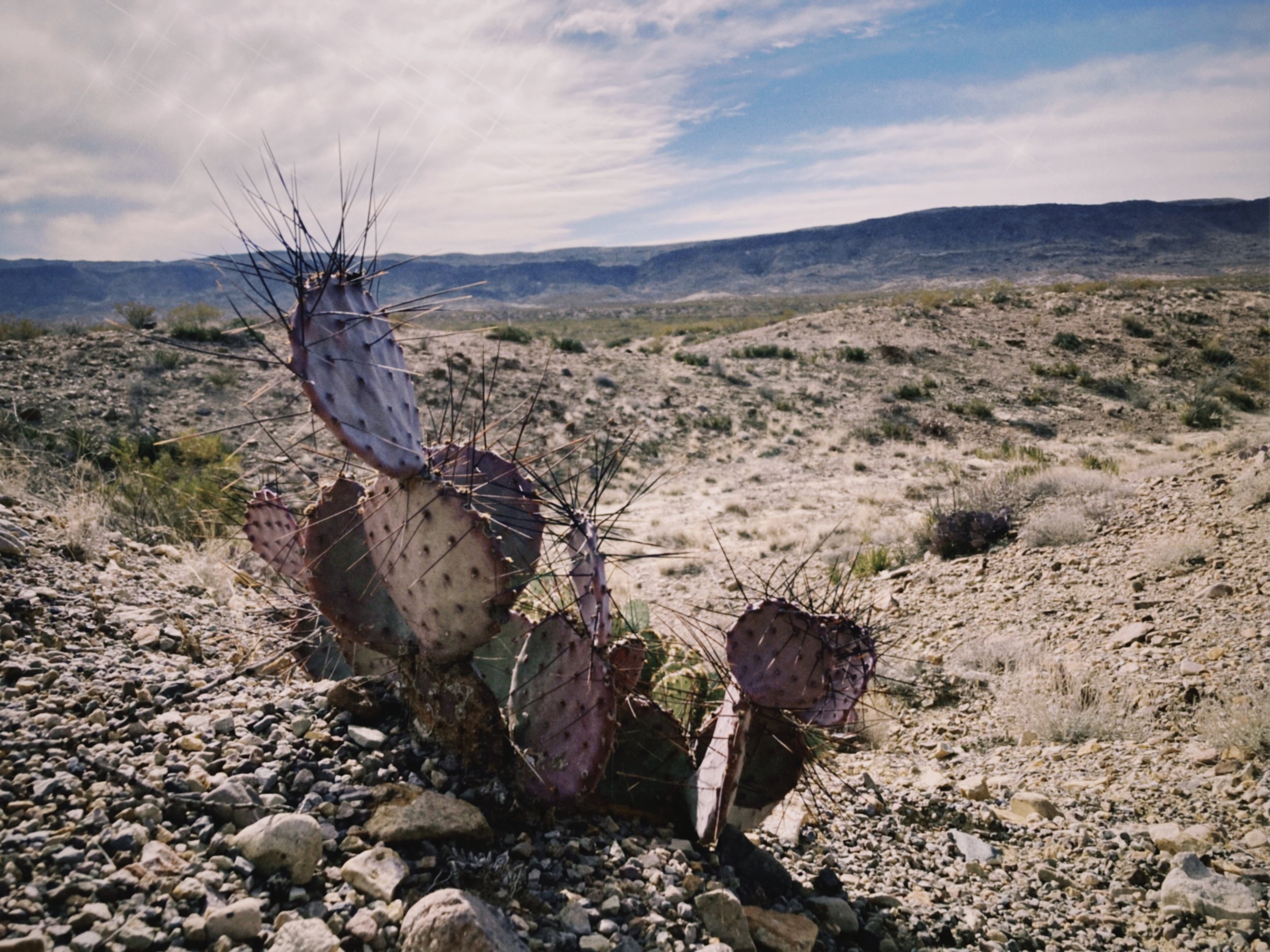 nt16 2023-01-15 144906.928.JPG