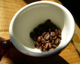 A revolução silenciosa do Conilon — THE COFFEE TRAVELER