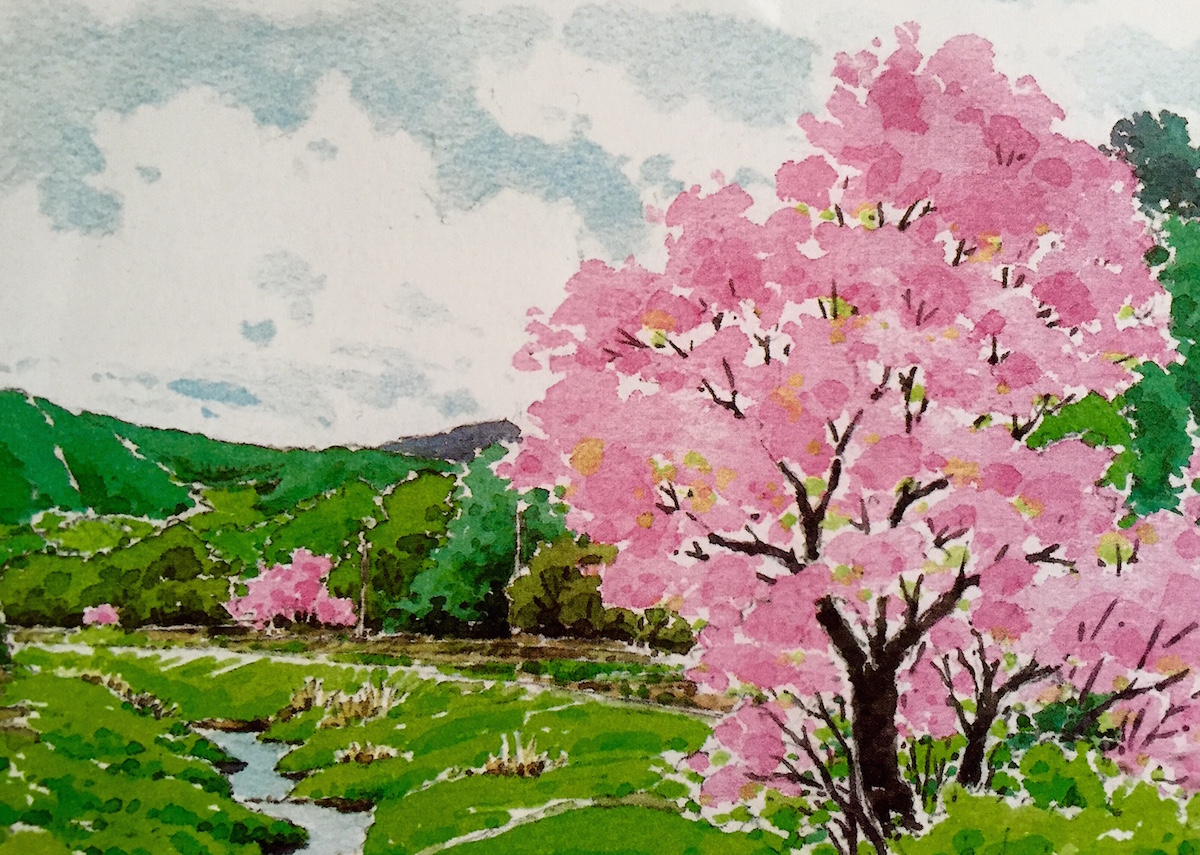 Ipês em flor. Aquarela. Artista desconhecido.