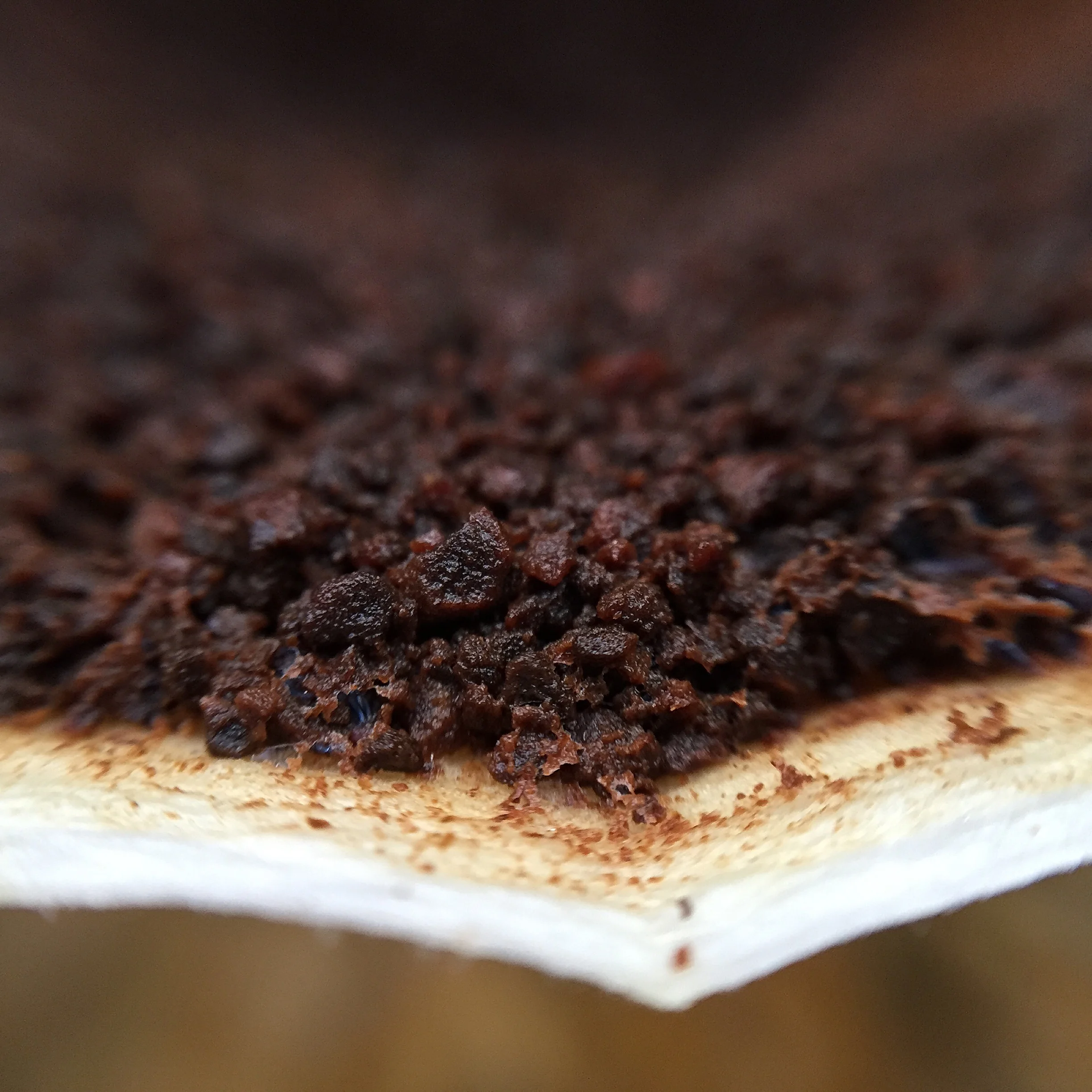 Camada de partículas de sementes de café torradas e moídas após passagem de água quente.
