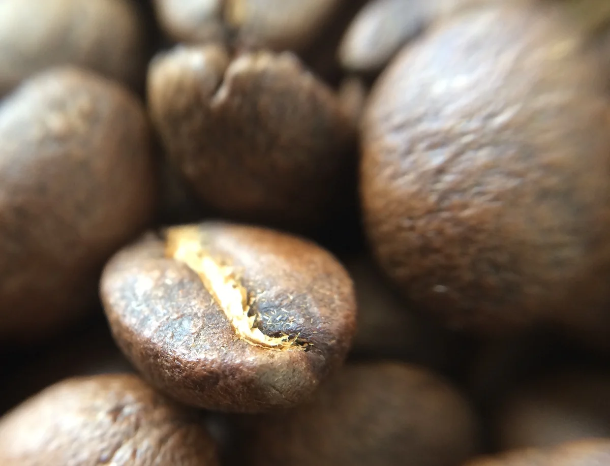 Sementes de café torradas.