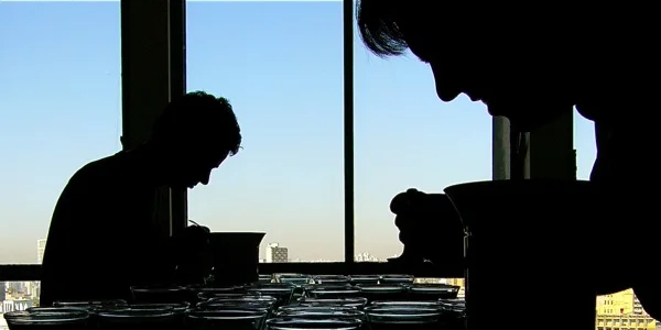 Controle de Qualidade - Cupping.