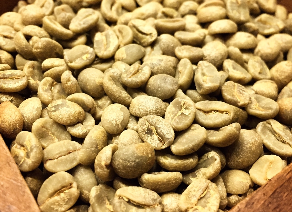 Sementes de café.
