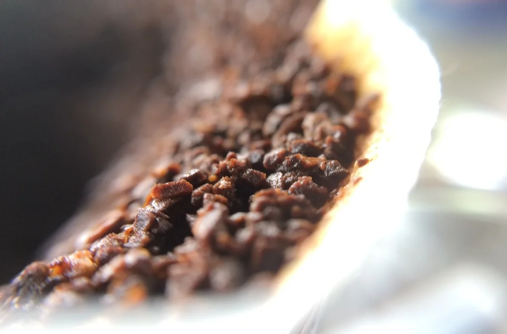 Partículas de café torrado e moído após extração (aumento de 10x).