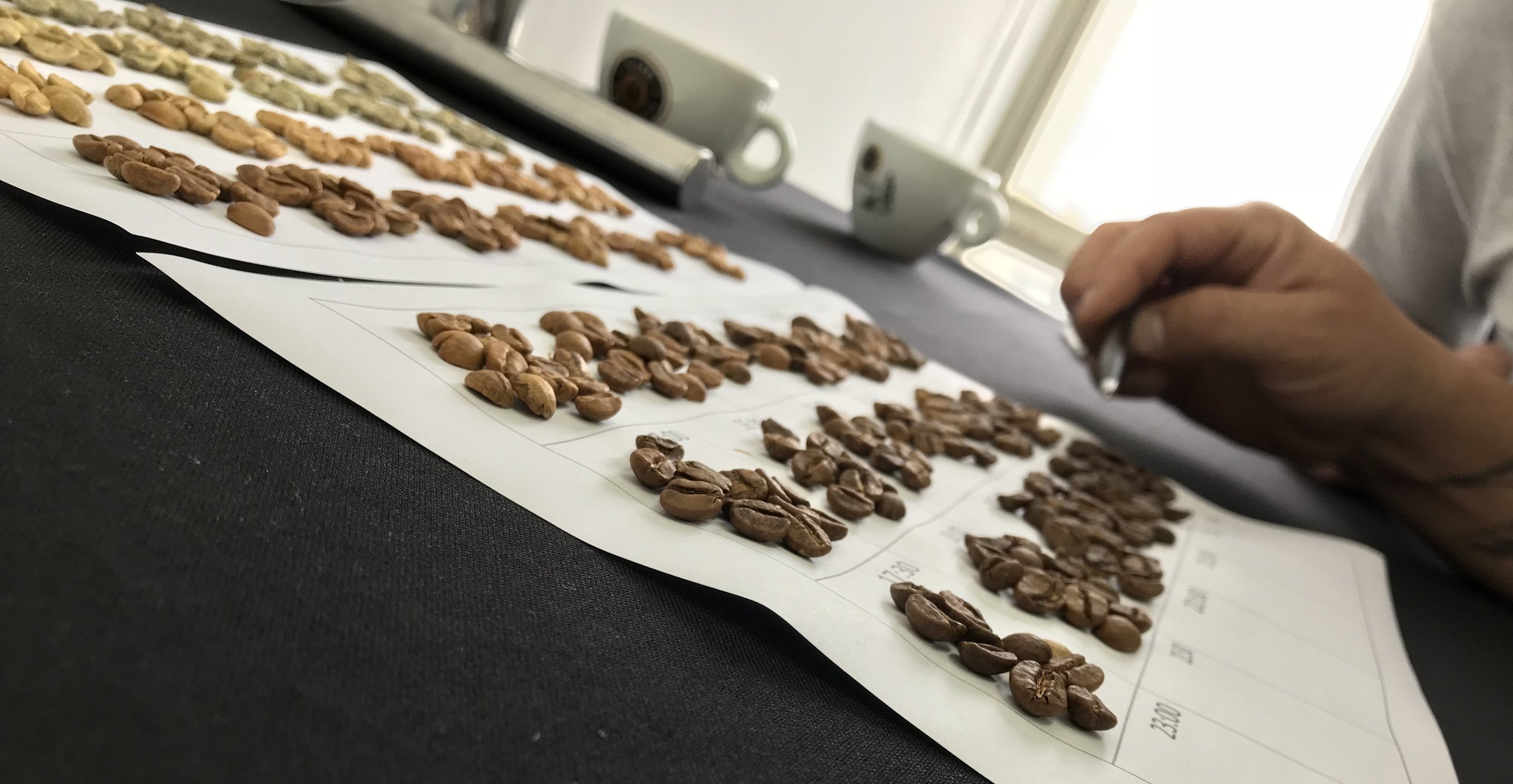 Amostras de café em estudo de perfis e níveis de torra