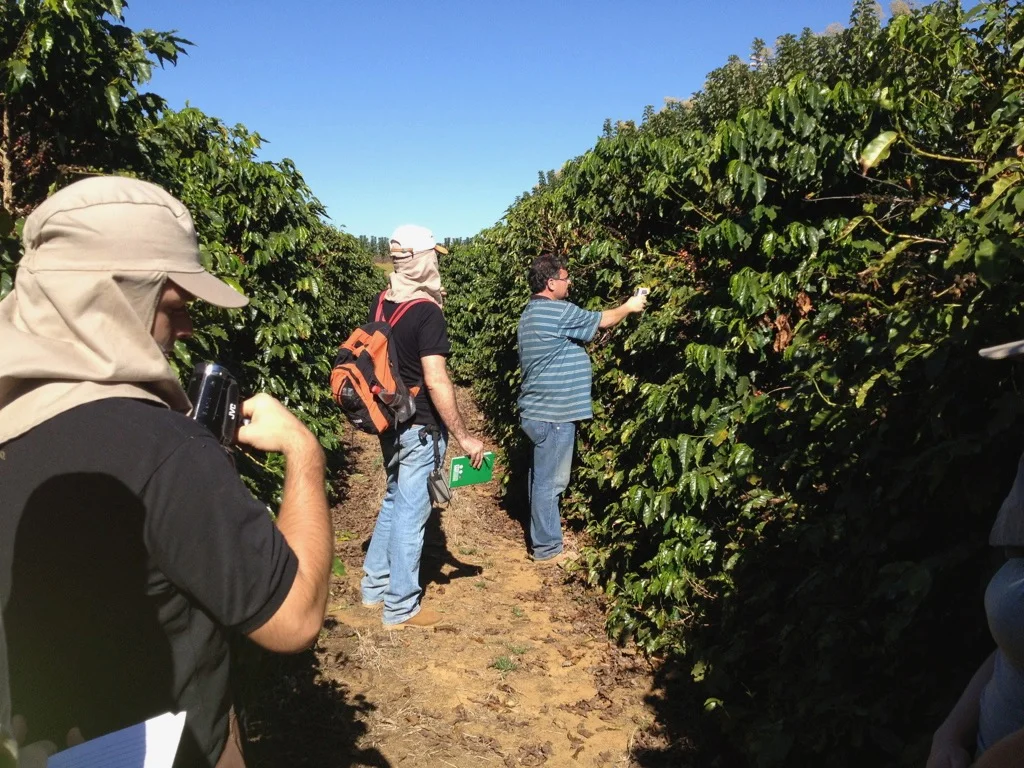 Formação de Coffee Hunters - 2018