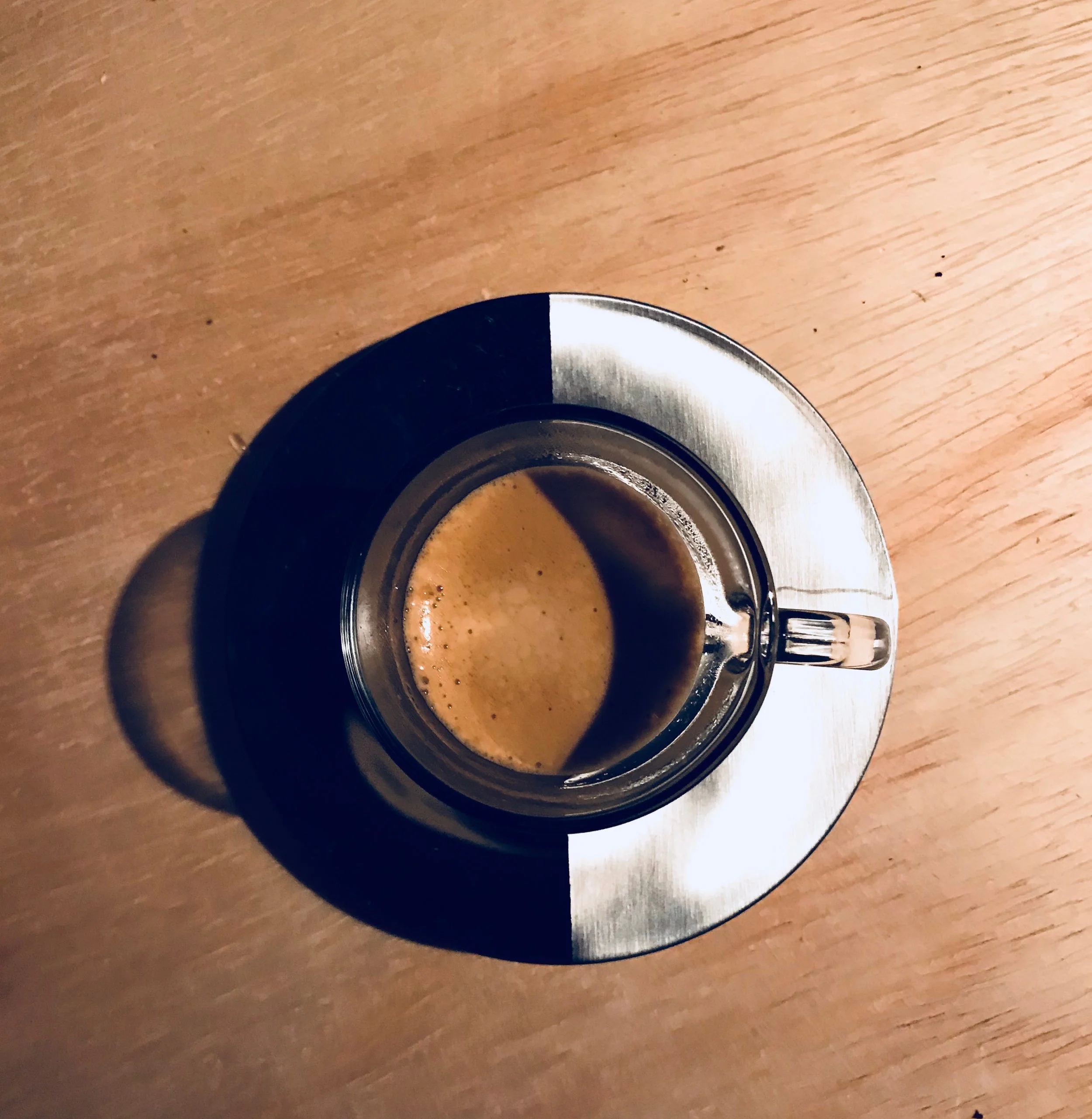1902-robusta_6.jpg