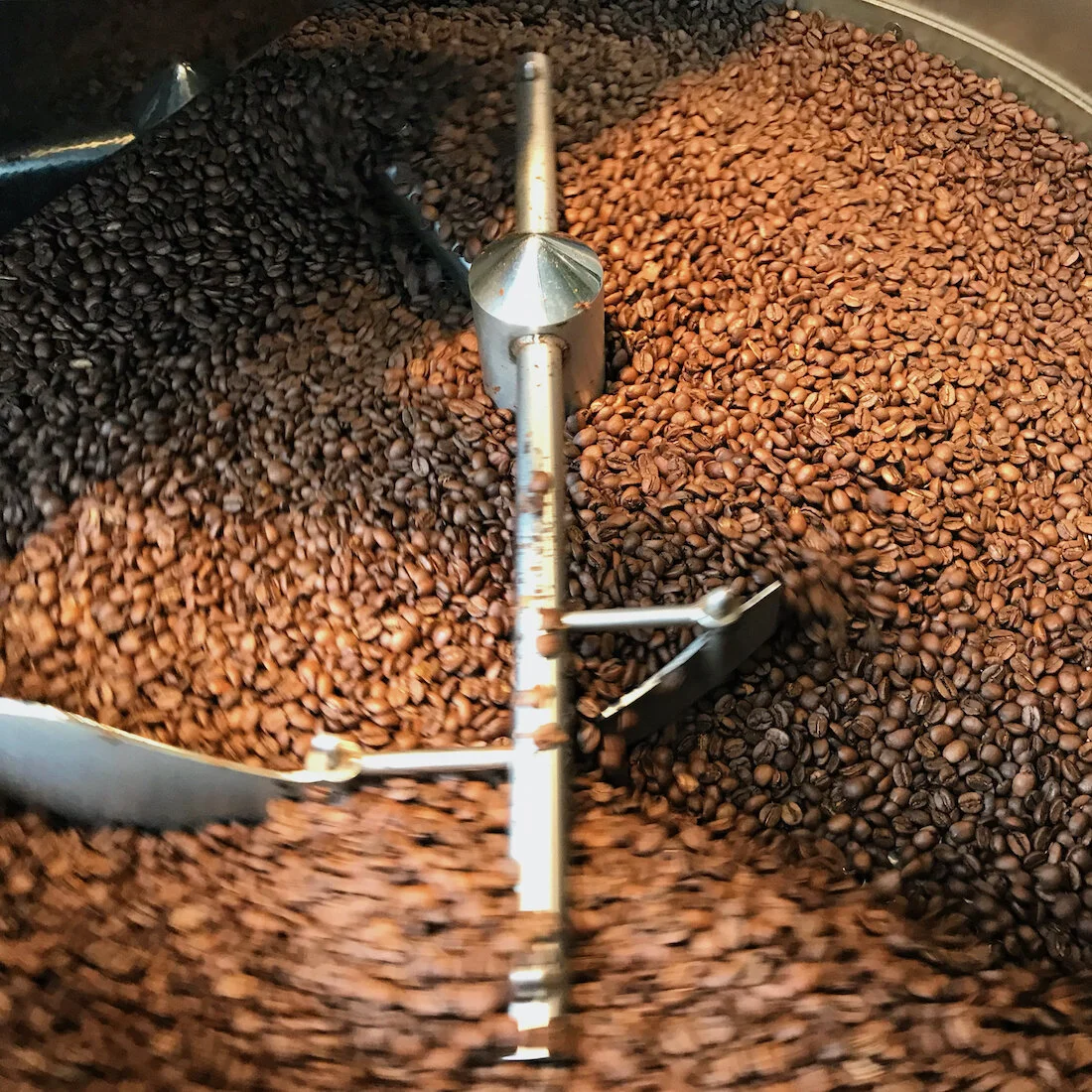 SPS: CIÊNCIA DA TORRA DO CAFÉ NC1 - T35