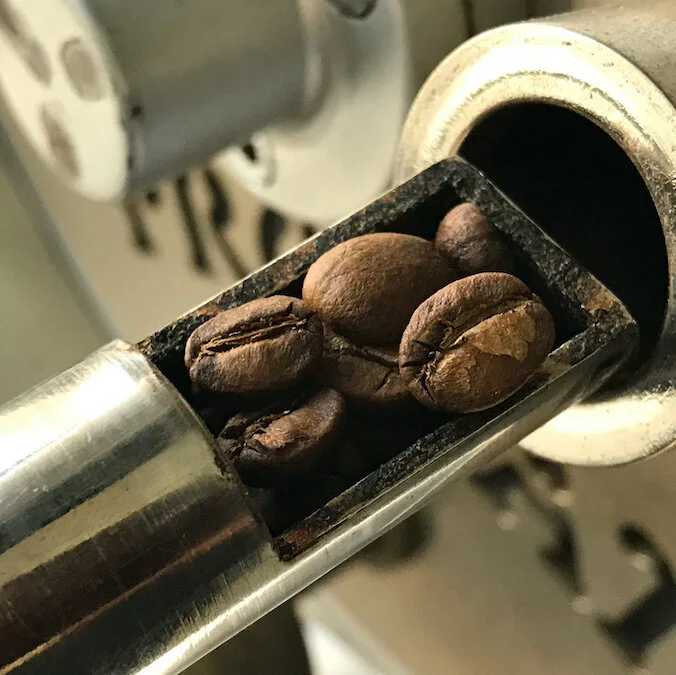 SPS: CIÊNCIA DA TORRA DO CAFÉ NC2 + DESIGN DE BLENDS - T02