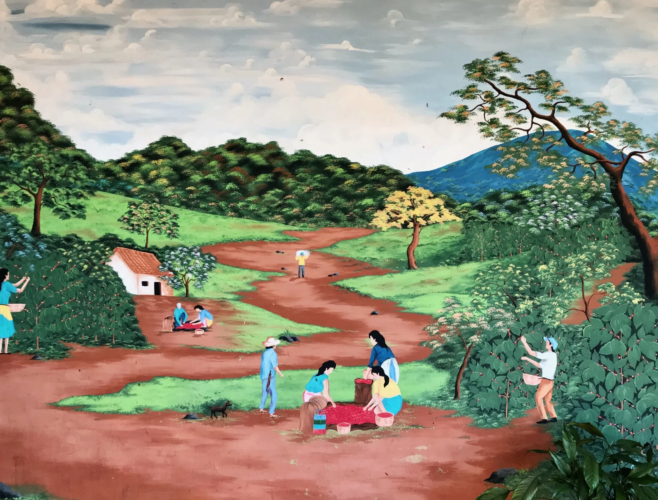 SPS: CURSO DE TORRA &amp; EXTRAÇÃO DE CAFÉ PARA PRODUTORES