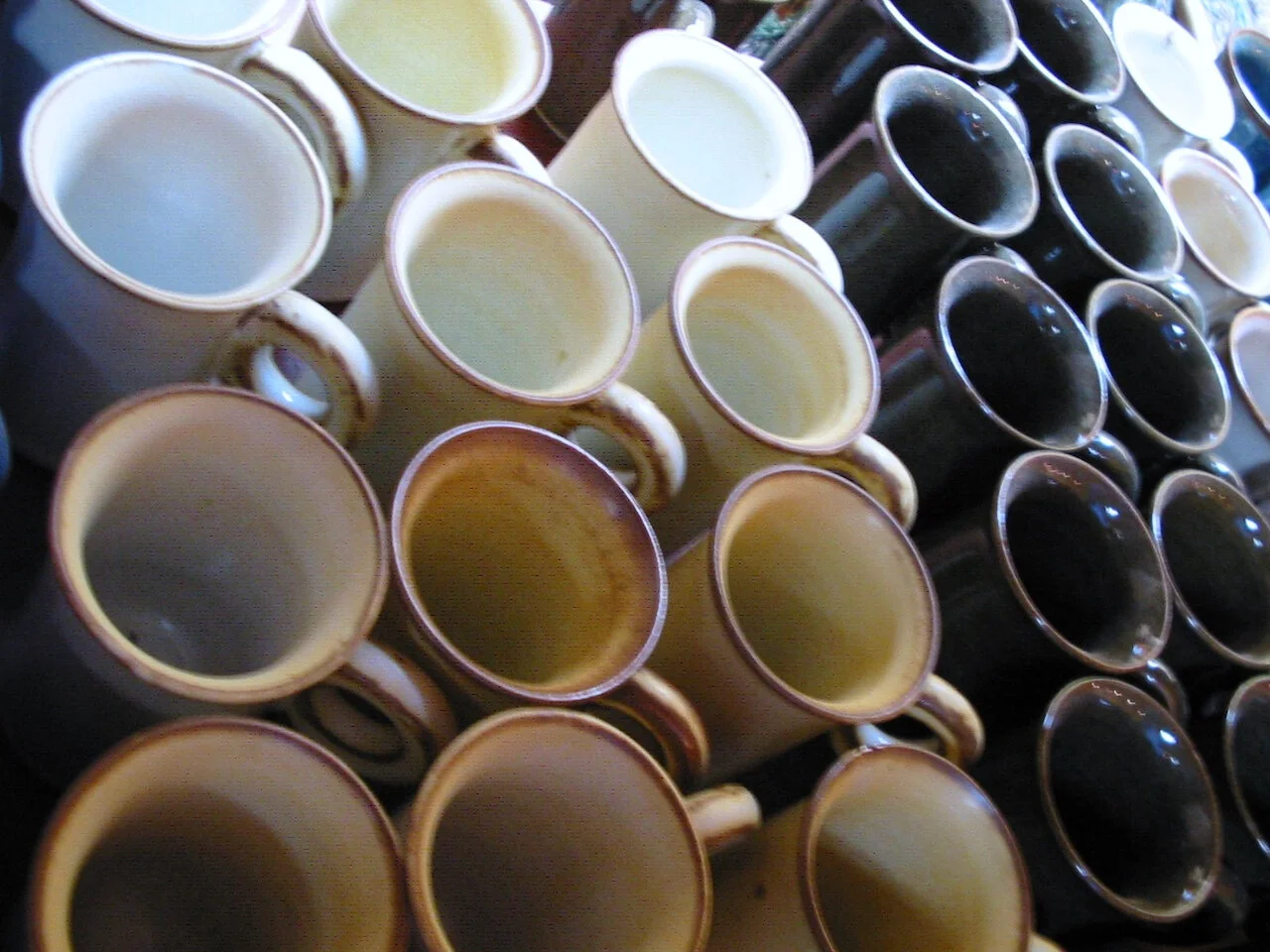 EDUCAÇÃO SENSORIAL - FUNDAMENTOS | TURMA 02 