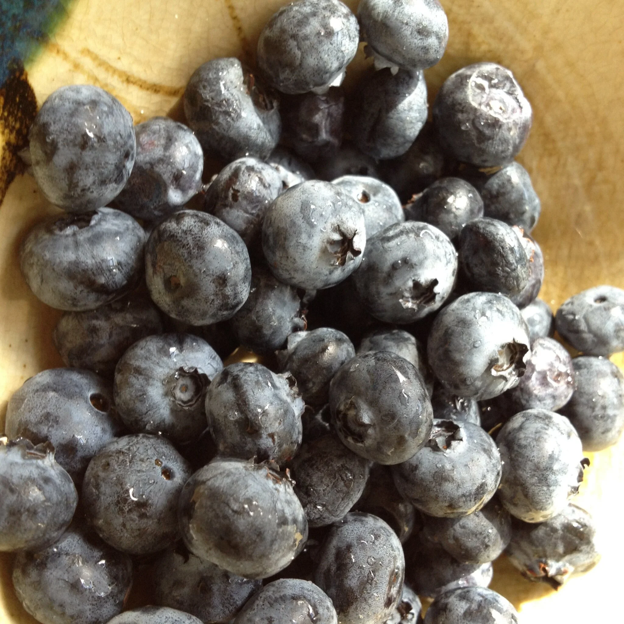 SPS: EDUCAÇÃO SENSORIAL - FUNDAMENTOS | TURMA 04