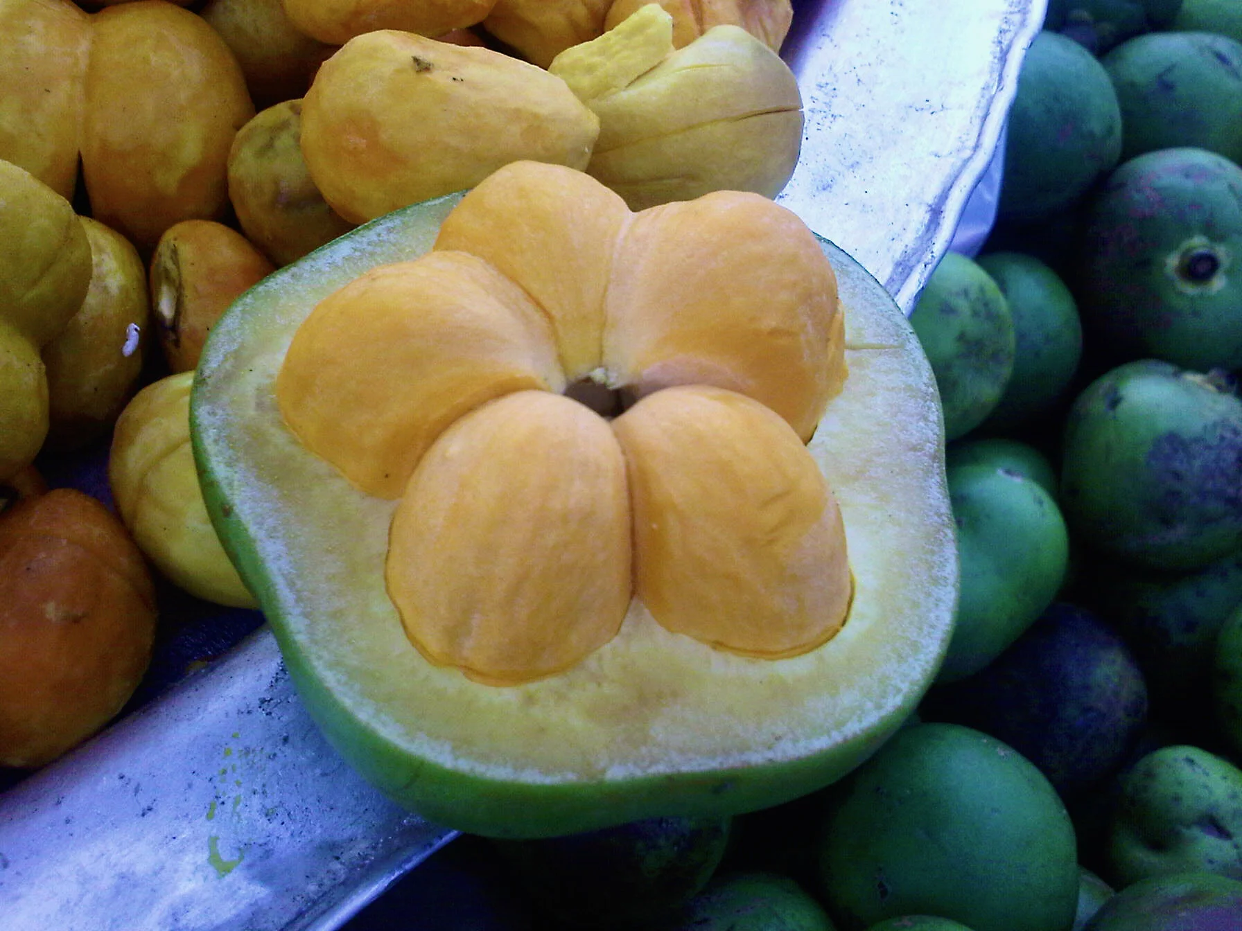 SPS: EDUCAÇÃO SENSORIAL - FUNDAMENTOS | TURMA 05