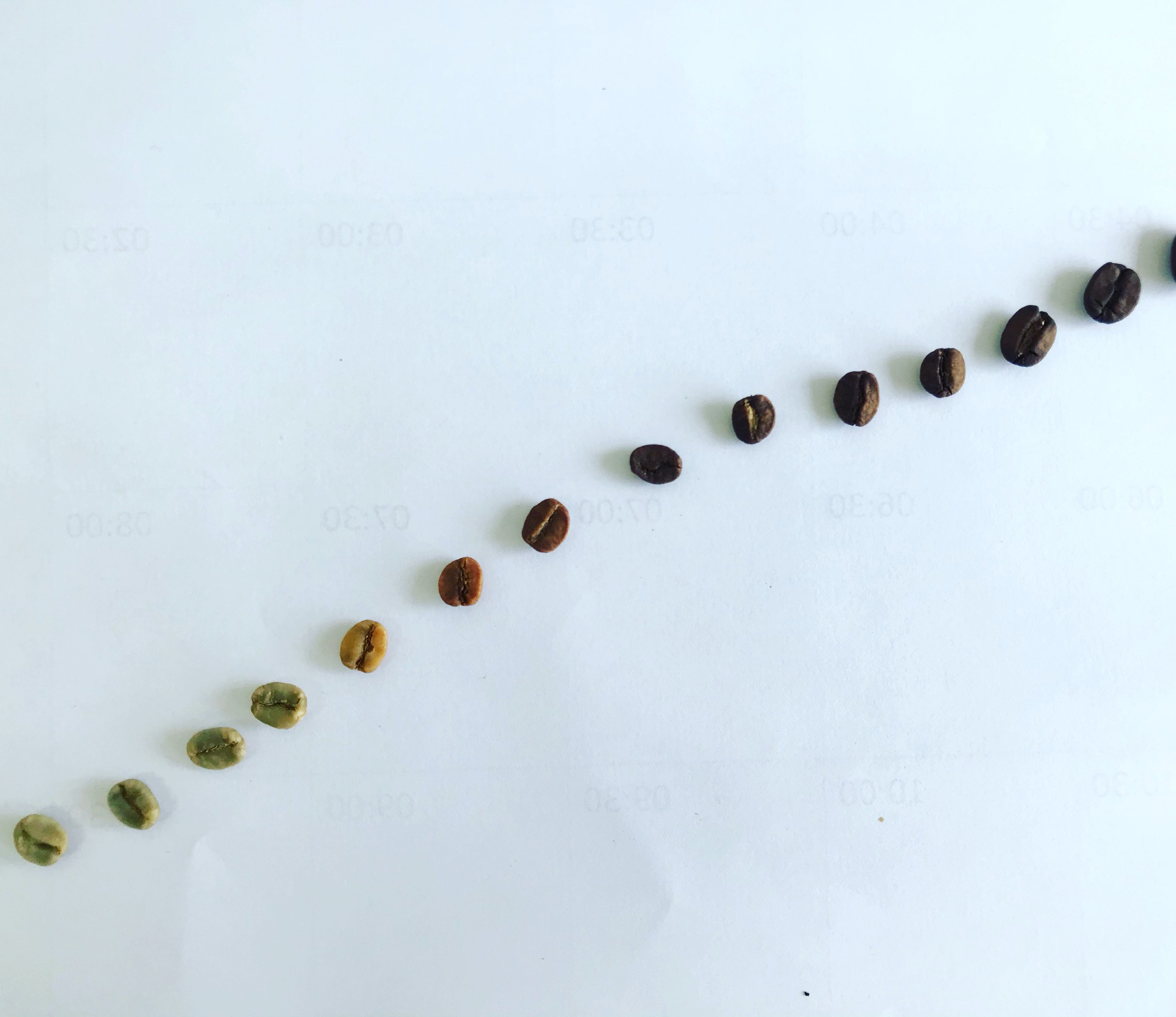 SPS: CIÊNCIA DA TORRA DO CAFÉ RC1 - T40