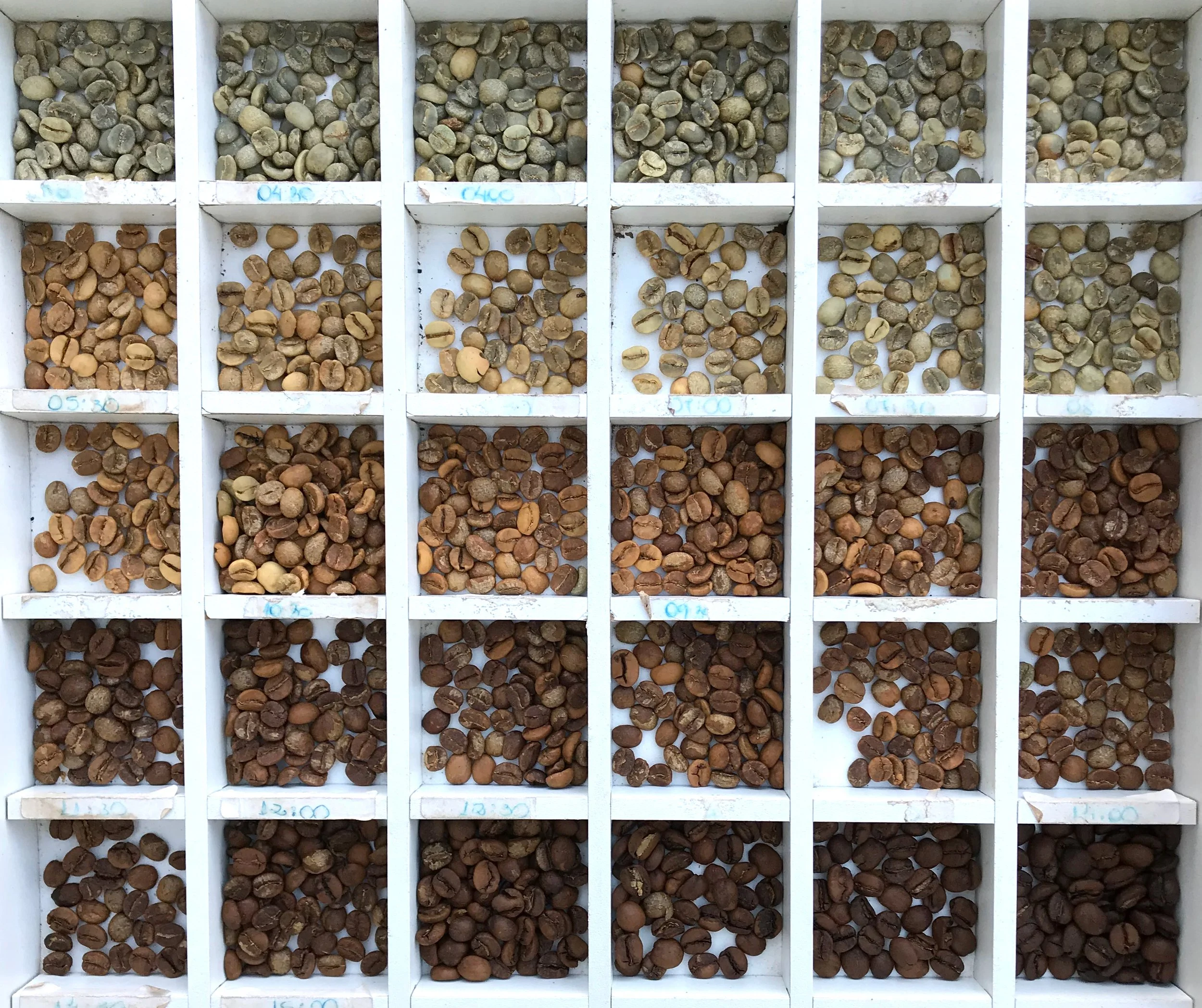 SPS: CIÊNCIA DA TORRA DO CAFÉ RC1 - T41