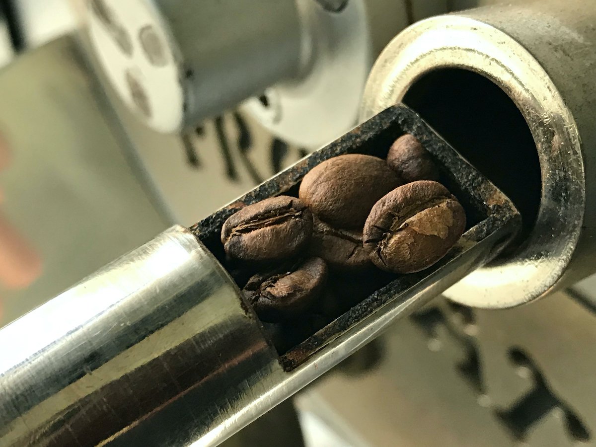 SPS: CIÊNCIA DA TORRA DO CAFÉ RC1 - T42