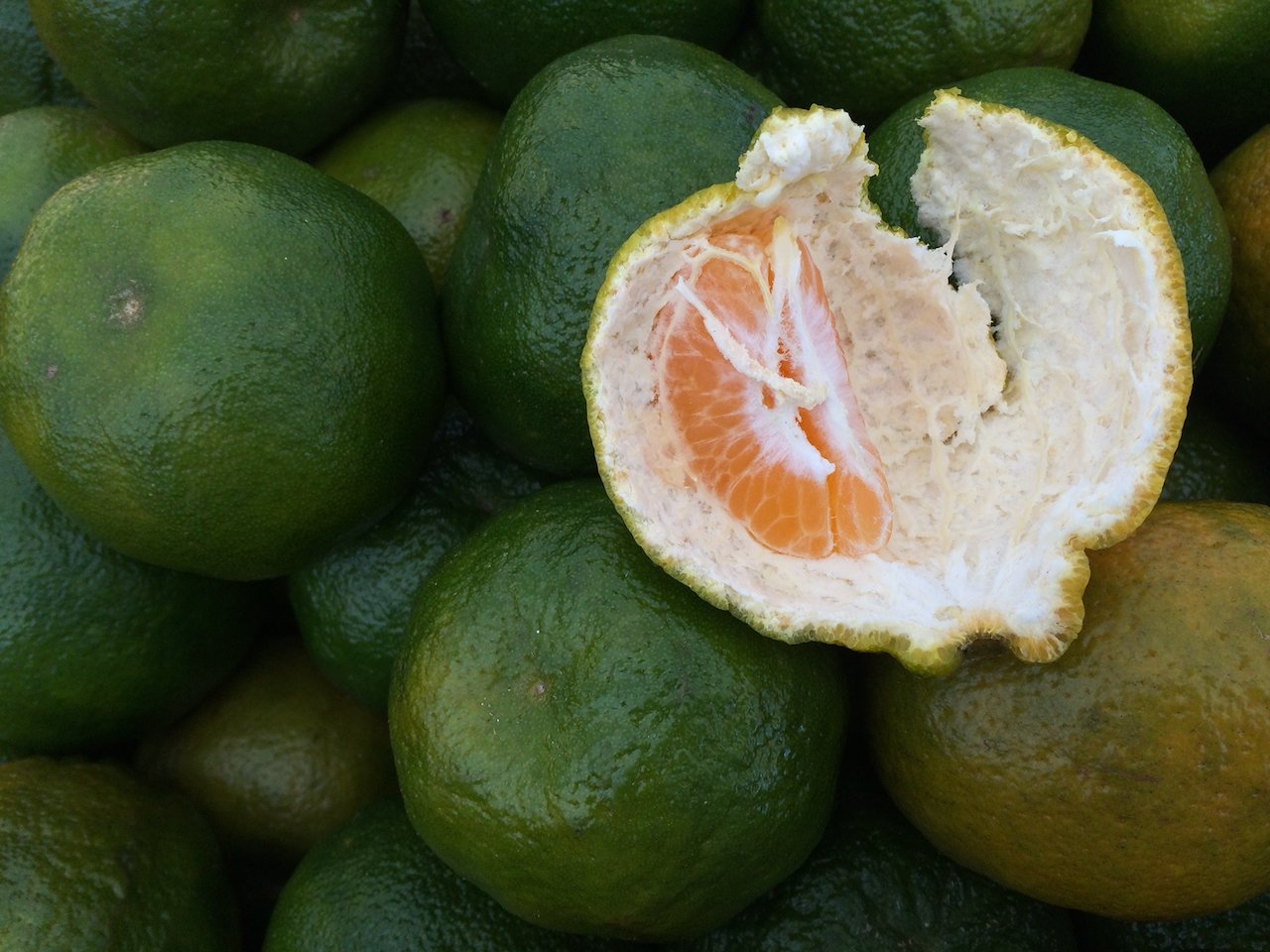 SPD: EDUCAÇÃO SENSORIAL - FUNDAMENTOS | TURMA 08