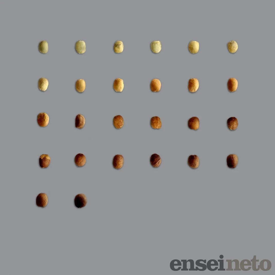 4f4e0aff-8ac5-44af-aaa0-c77aed9ff1e4.jpeg