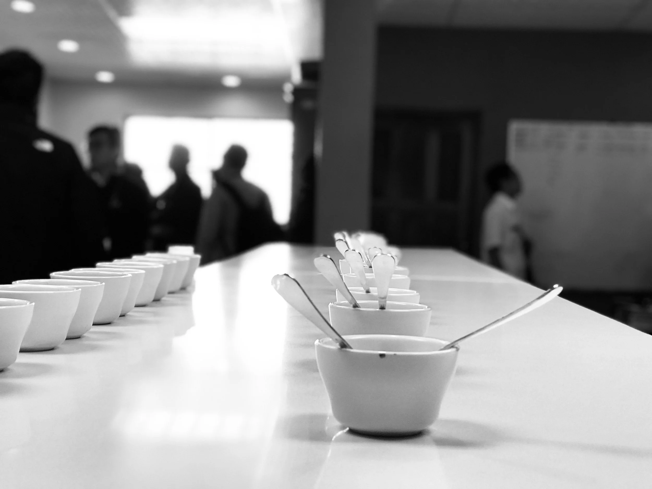 SPS: Masterclass Cupping ARABICAS &amp; ROBUSTAS - 03