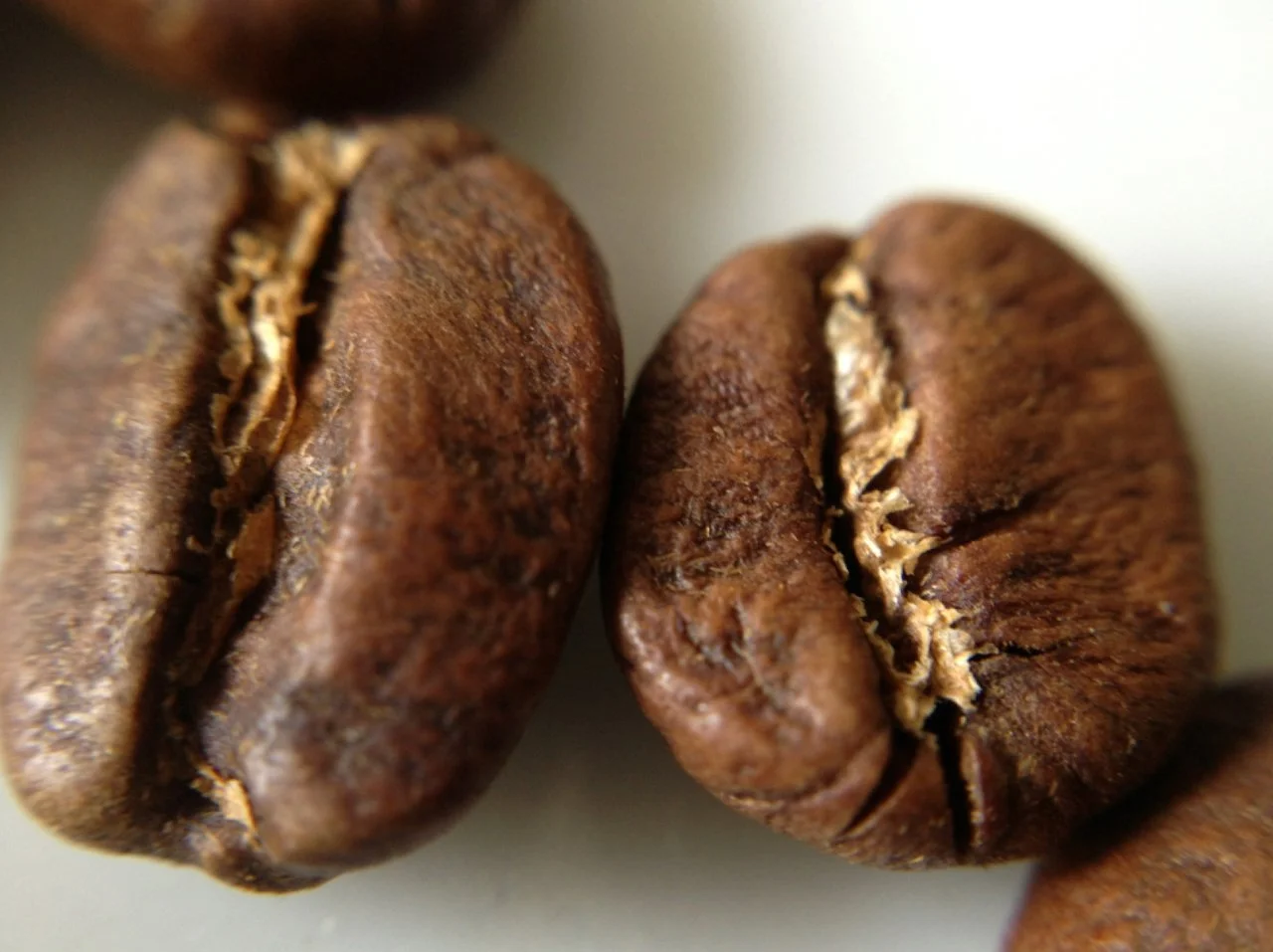 Qual o ponto de torra para avaliar café?