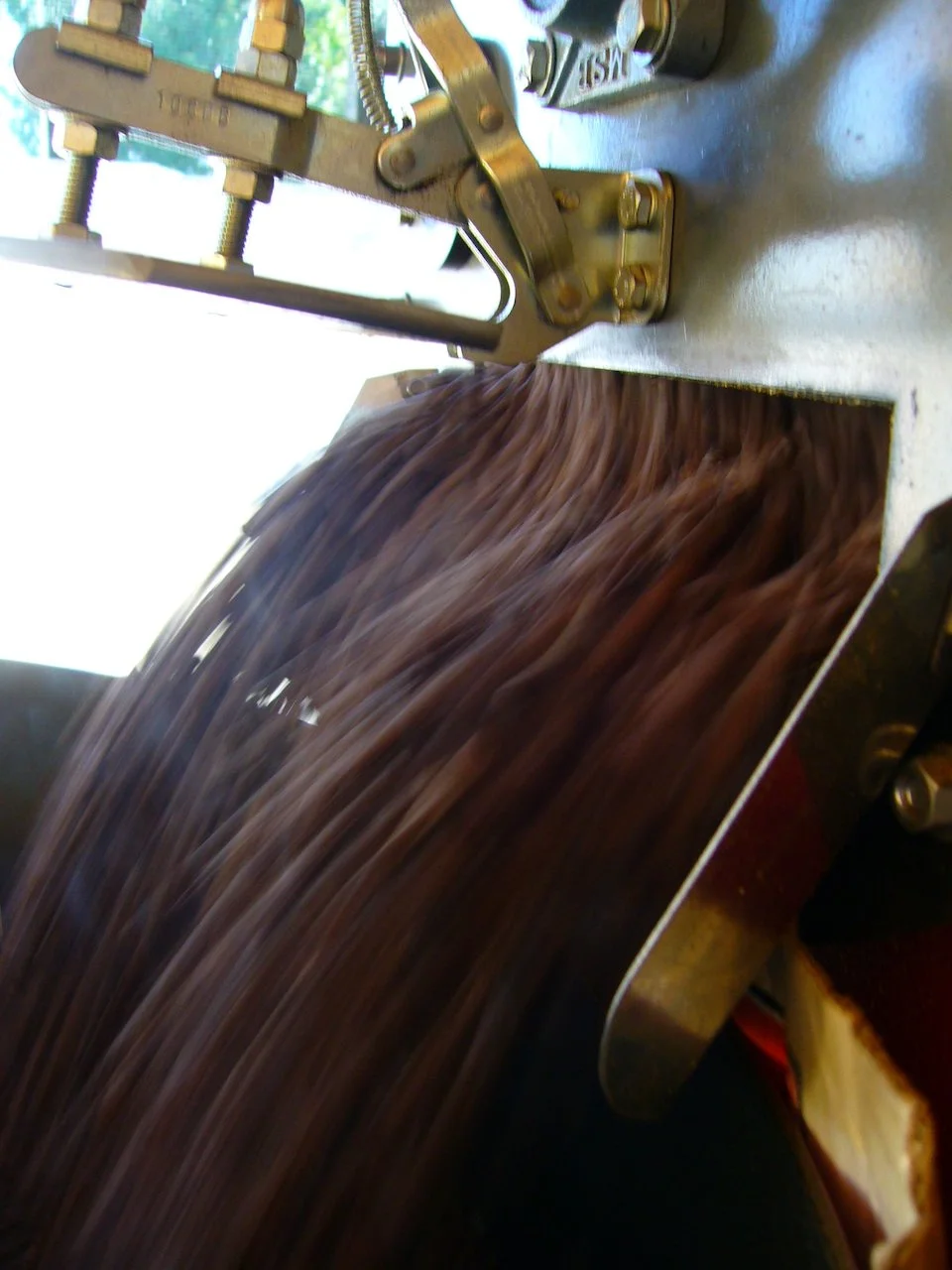 SPS: CIÊNCIA DA TORRA DO CAFÉ RC1 - T45