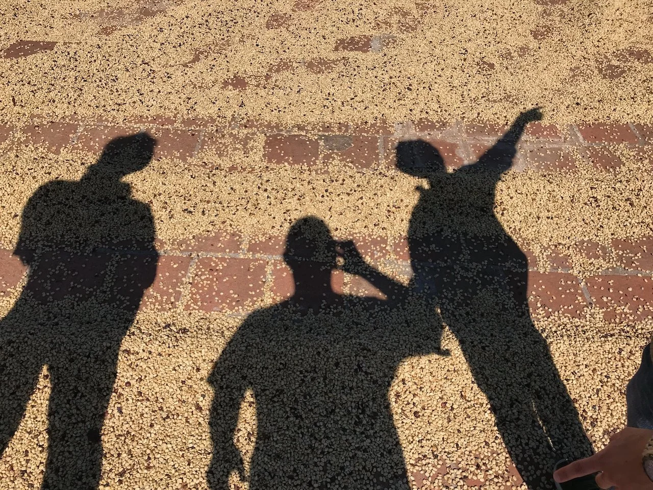 CHS: FORMAÇÃO DE COFFEE HUNTERS - LF1 