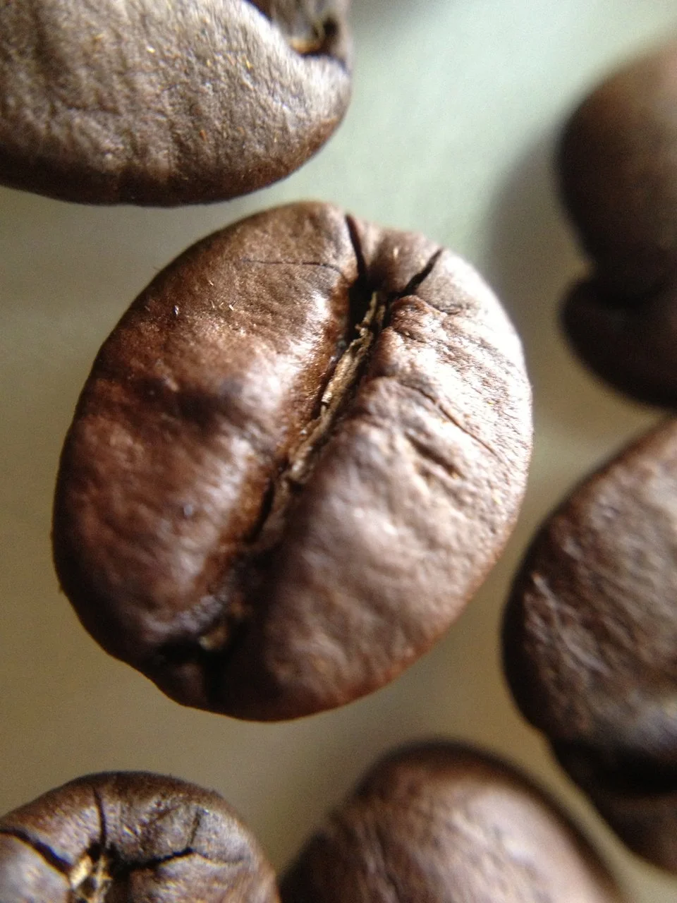 RSB: CIÊNCIA DA TORRA DO CAFÉ RC1 - T50