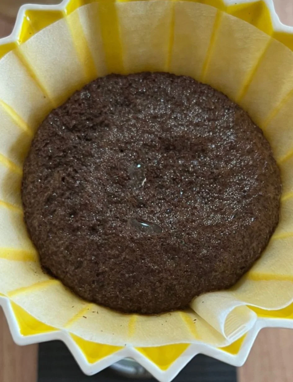 SPS: FORMAÇÃO BARISTA - FUNDAMENTOS COFFEE BAR | T05