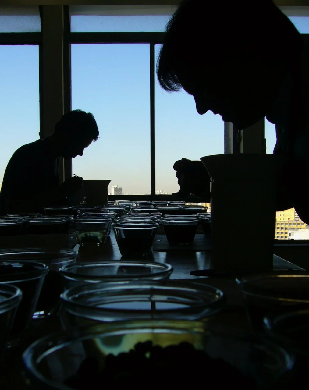 SPS-AVALIAÇÃO DE CAFÉ PROTOCOLO SCA - T16 | Masterclass