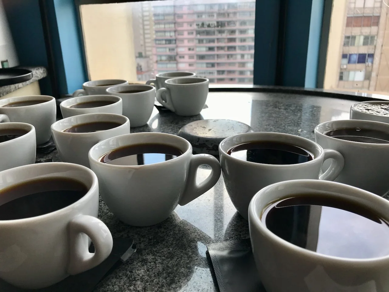 SPS-AVALIAÇÃO DE CAFÉ VERDE PROTOCOLO SCA - T20 | Masterclass Arabicas & Robustas