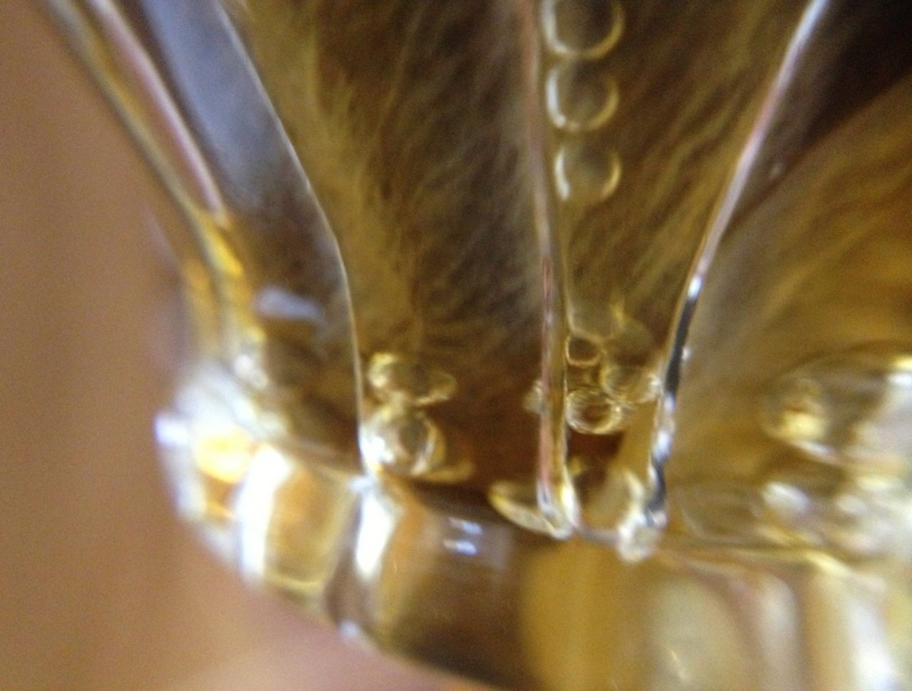 2504: FORMAÇÃO BARISTA - FUNDAMENTOS COFFEE BAR