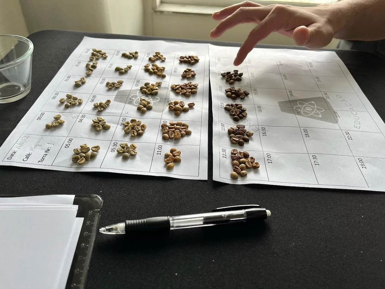 CIÊNCIA DA TORRA DO CAFÉ - FUNDAMENTOS | ARÁBICA + CANÉFORAS T60