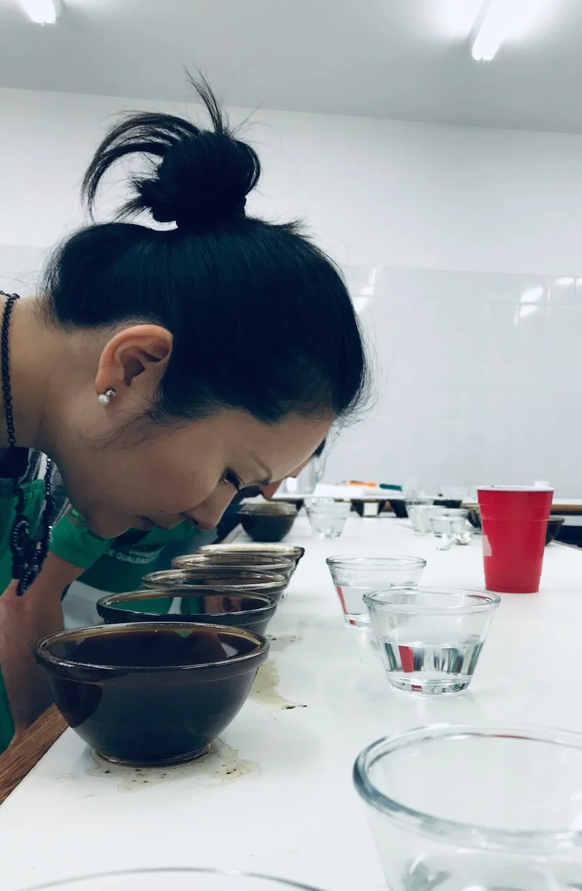 MASTERCLASS AVALIAÇÃO DE CAFÉ VERDE PROTOCOLO SCA  | Arabicas &amp; Robustas T33