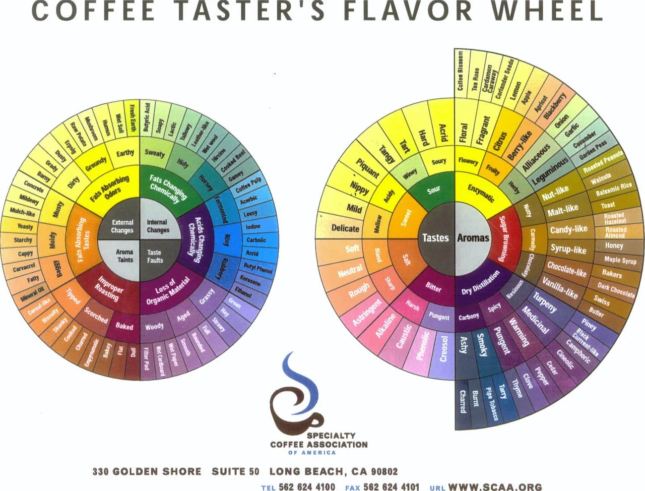 501-Original Flavor Wheel.jpeg