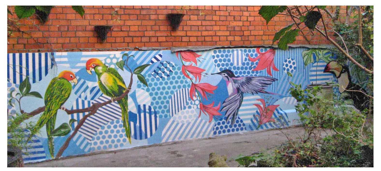 WEbbirdwall.jpg