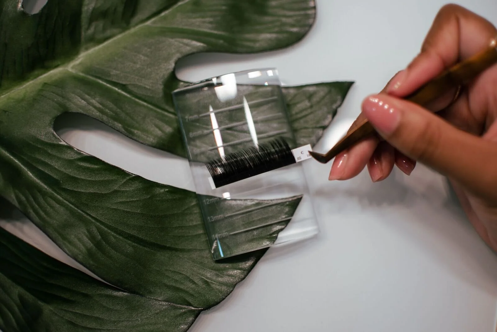 Lash Palette ii.jpeg