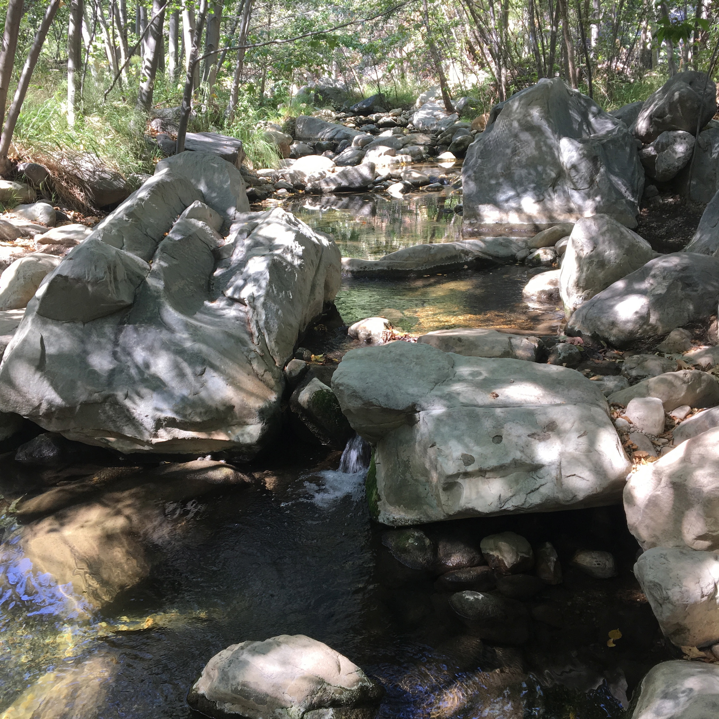 Perfect little creek for cooling off.