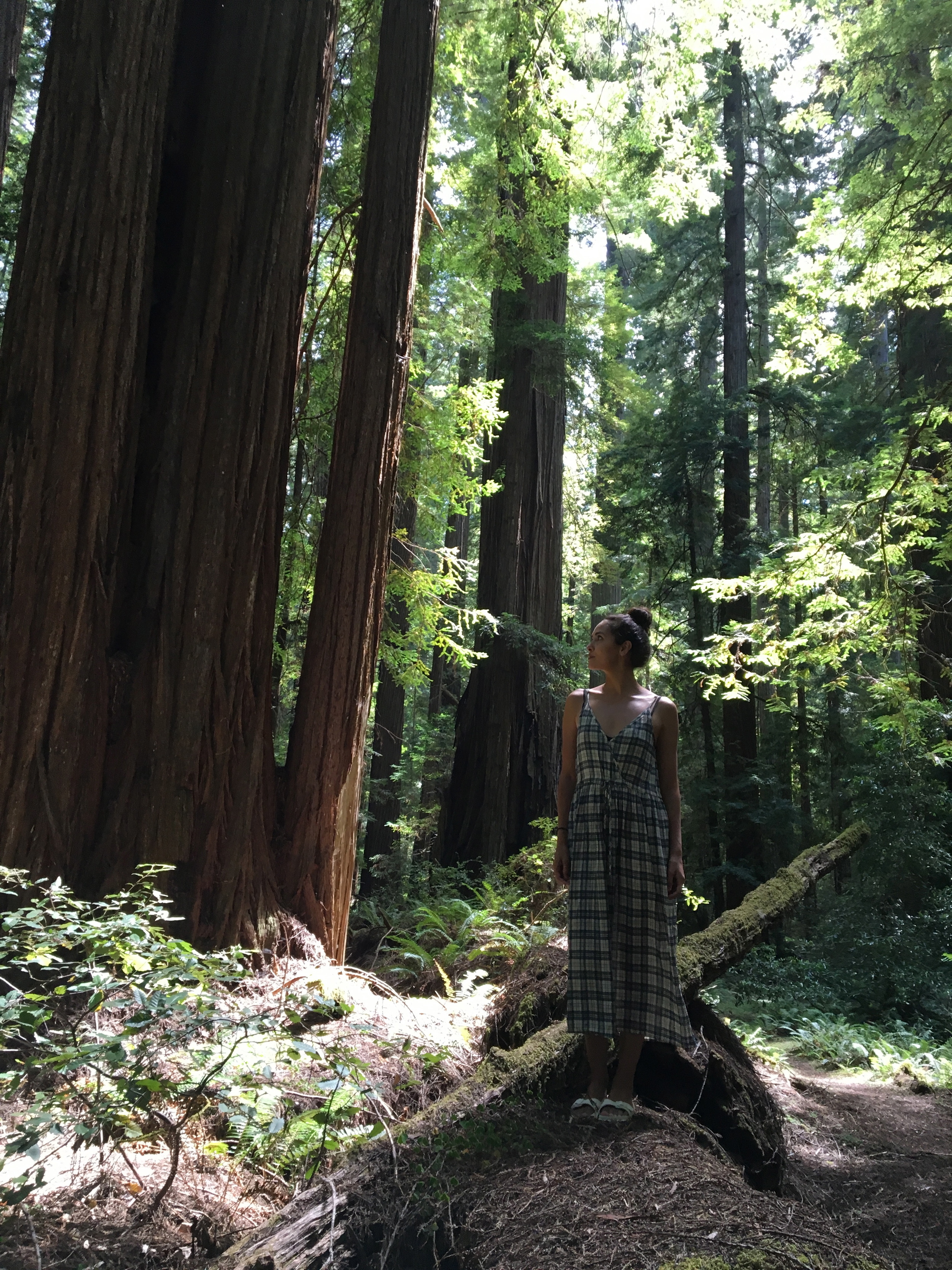 The Rockefeller Forest, Humboldt county + the Lincoln dress by Christy Dawn .