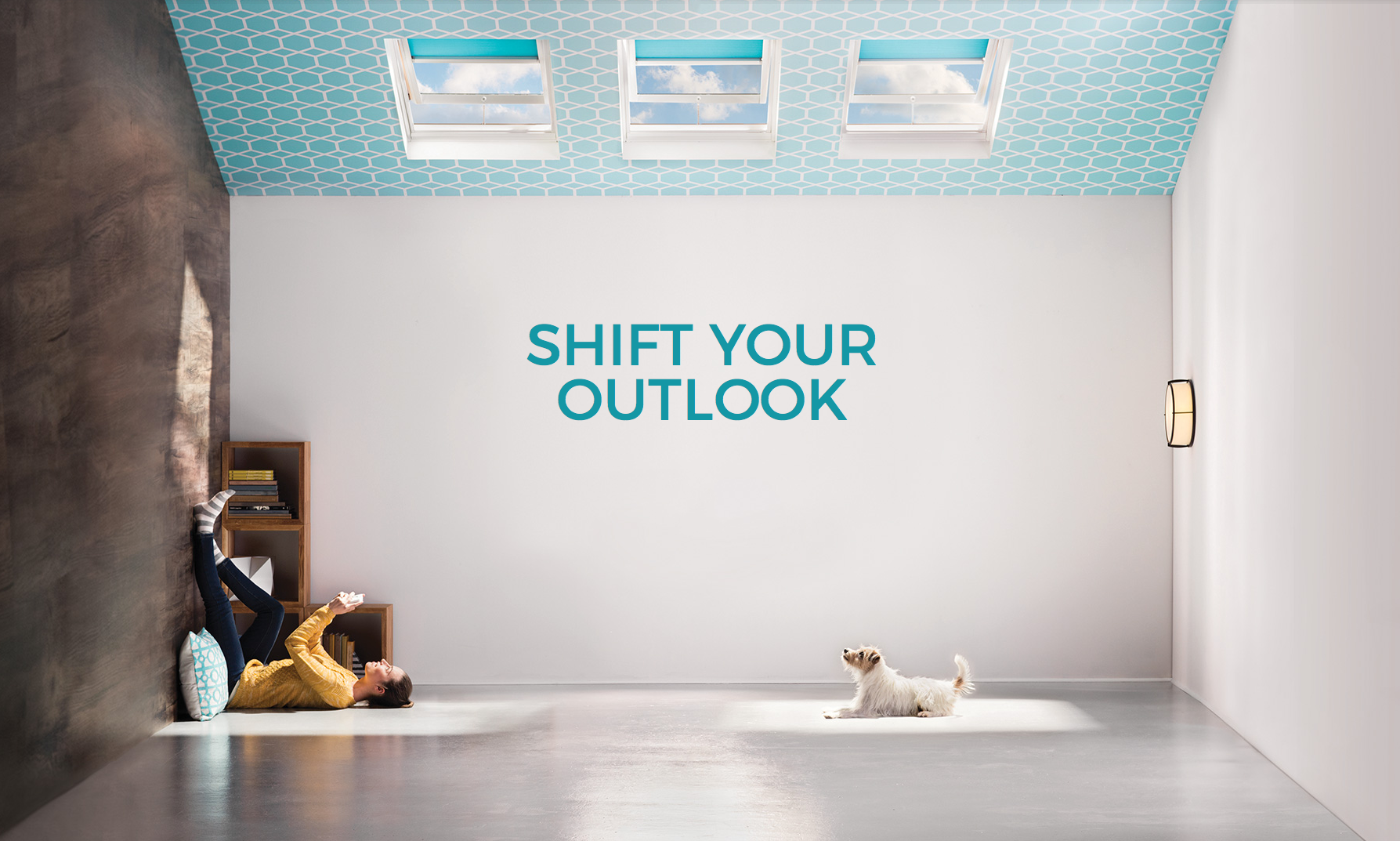Velux Skylights