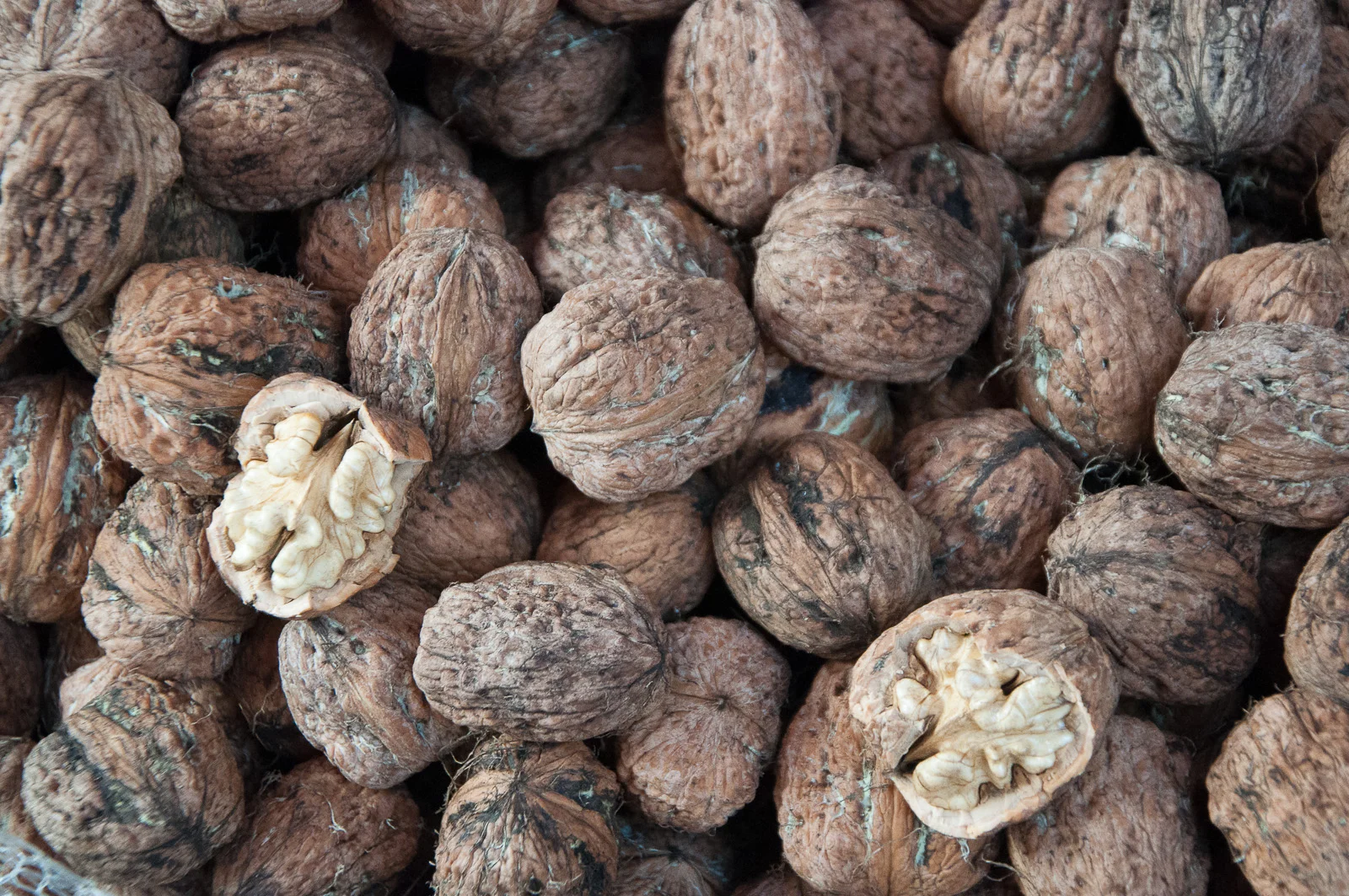 Walnuts at La Vucciria food market in Palermo, Sicily.