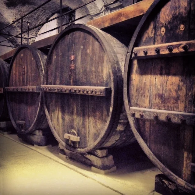 Pierantonj vineyards, Abruzzo. Morso Travel Italy food and wine tour.