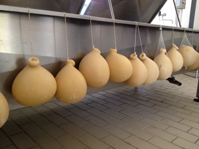 Artisan cheese making, Basilicata. Morso Travel Italy food and wine tour.