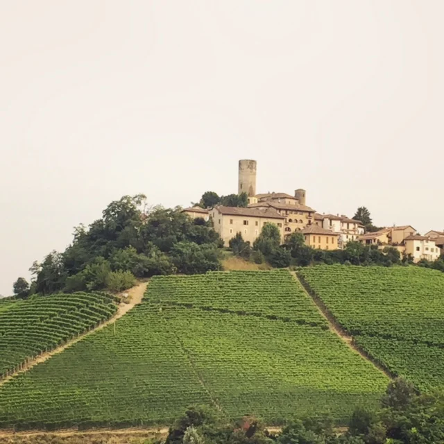 Castle, Barolo country, Piedmont. Morso Travel Italy food and wine tour.