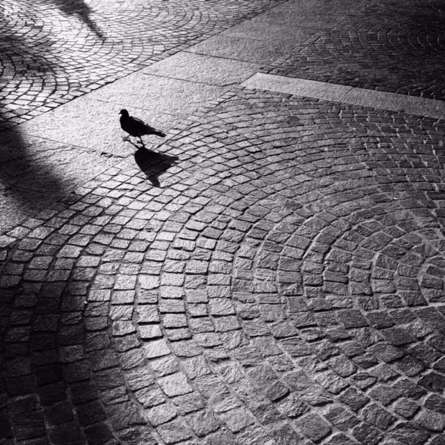 Street photo, Alba. Morso Travel Italy food and wine tour.
