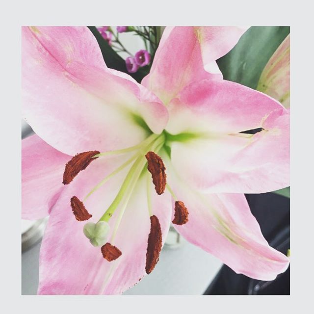 turning towards what i am most unwilling to feel, letting it in and breaking me open to love #surrender #selflove #meditation #dailypractice #relationship #patience #grace #mindfulness #spiritual #courage #belief #humility #student #buddha #zen #yoga