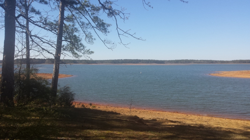 Clarks Hill Lake at Mistletoe State Park