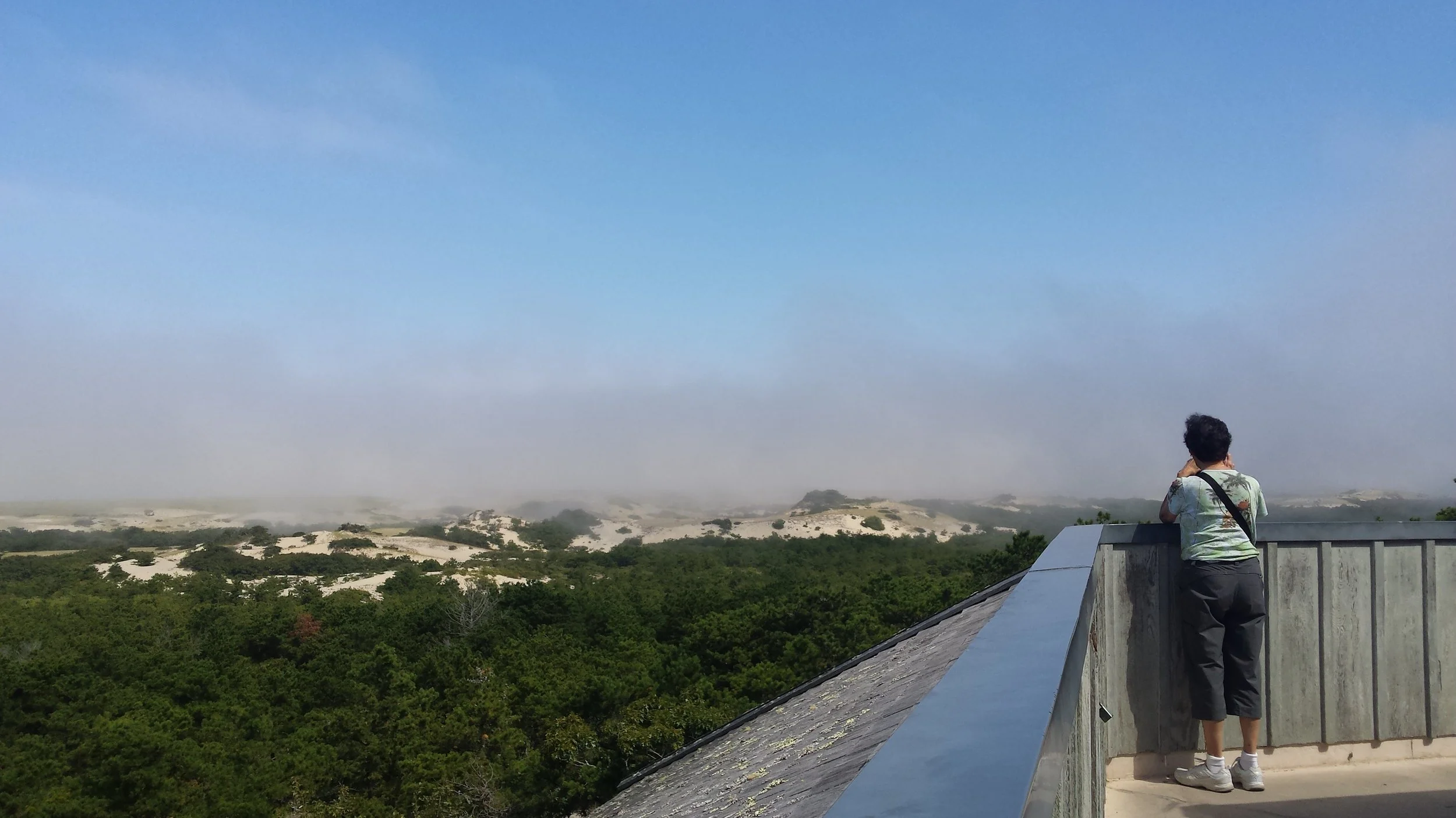 Fog Moving Over the Dunes